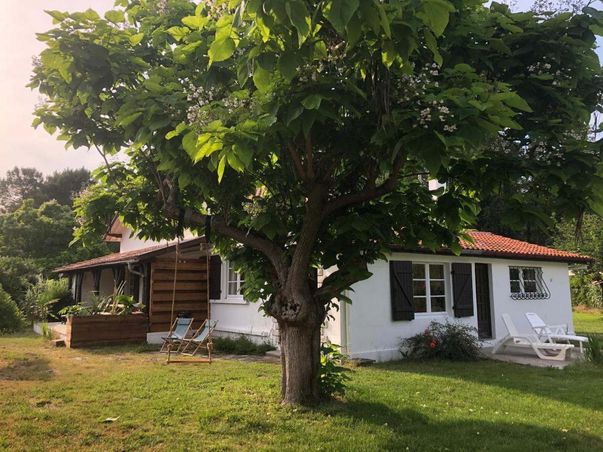 Villa Orcas Léon Exterior photo